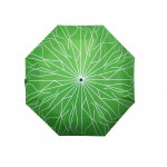 Umbrellas